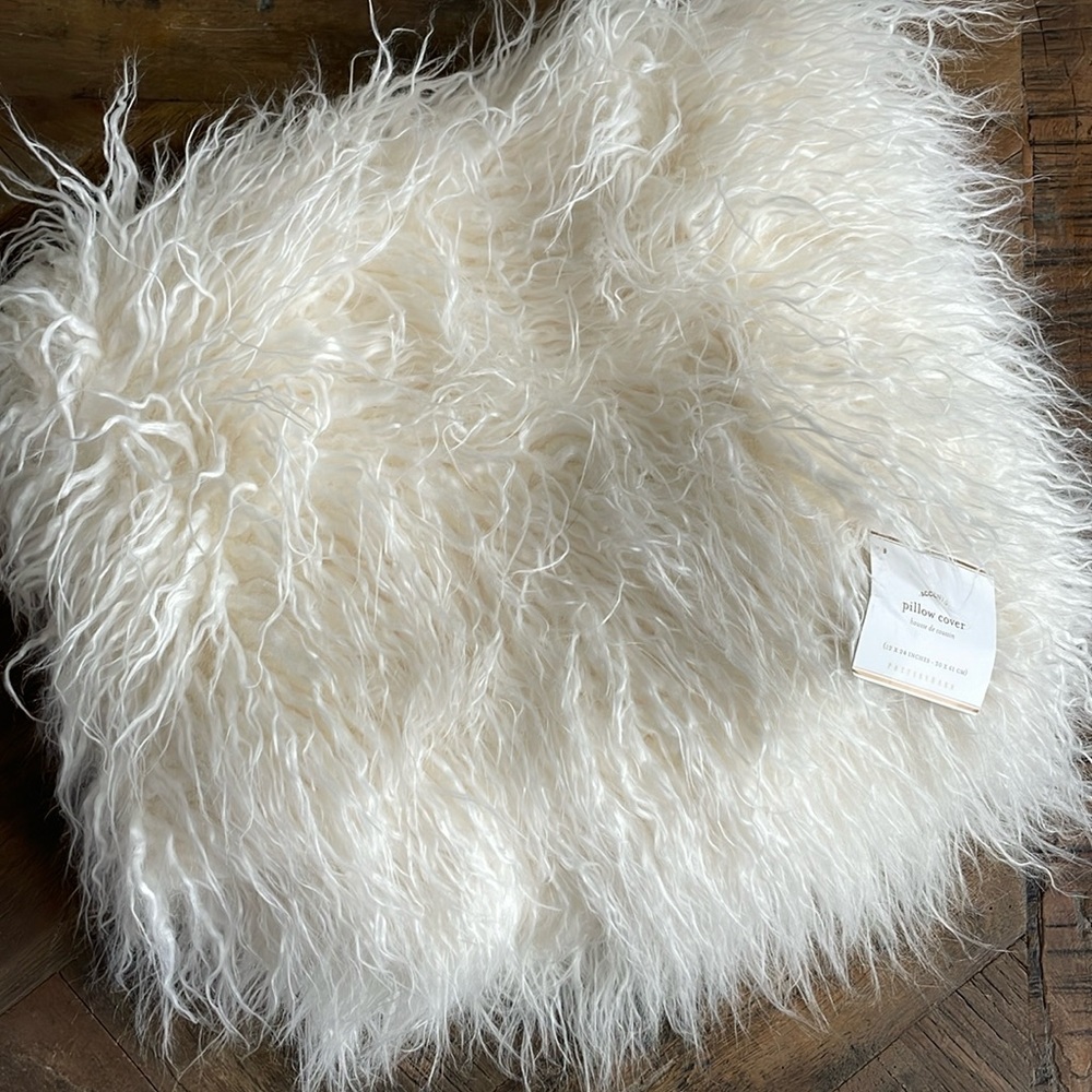 2 Pottery Barn pillow covers with inserts